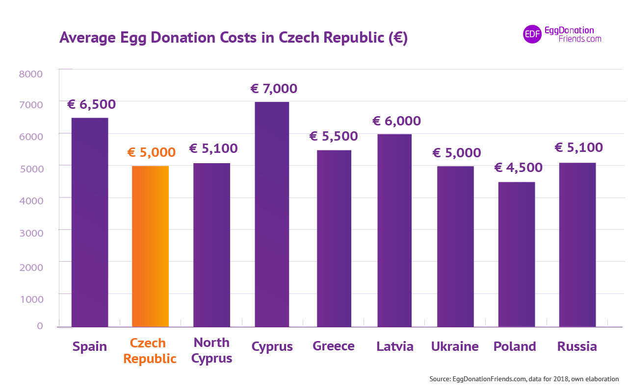egg donation czech republic reviews