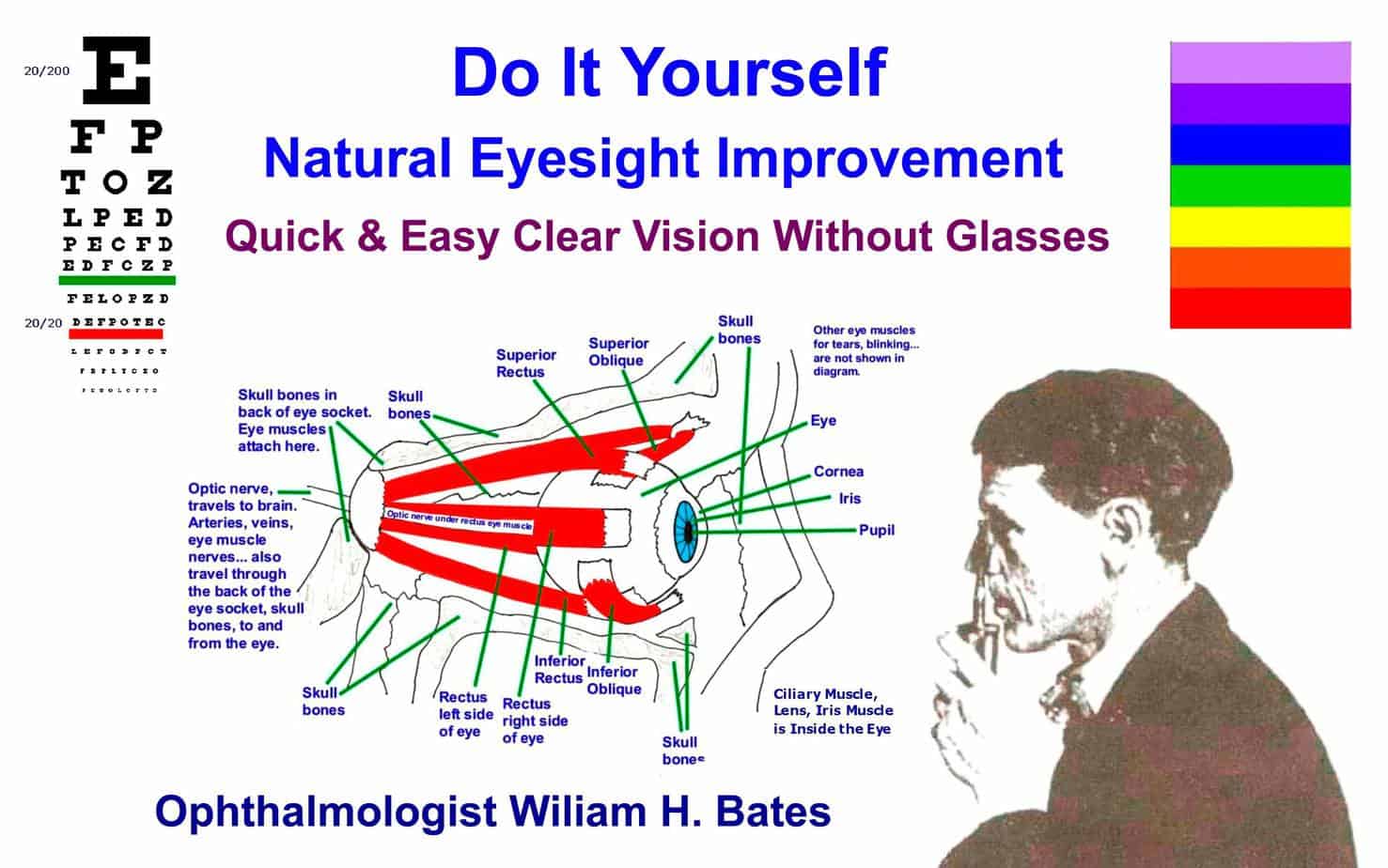 bates method eye exercises review